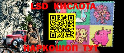 крисы Прохладный