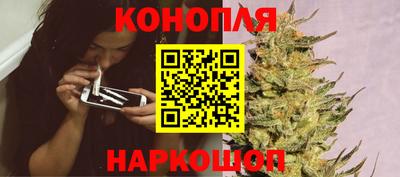 крисы Прохладный