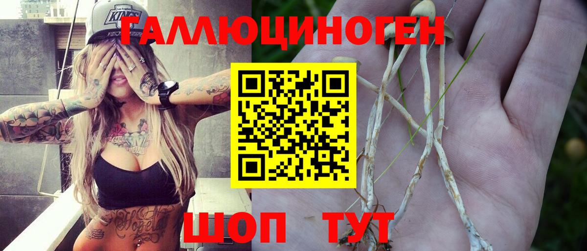 Псилоцибиновые грибы Psilocybe Сатка