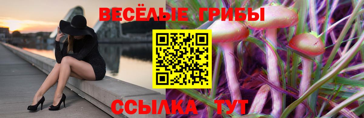 Сатка  Галлюциногенные грибы Psilocybine cubensis  Вход с VPN 
