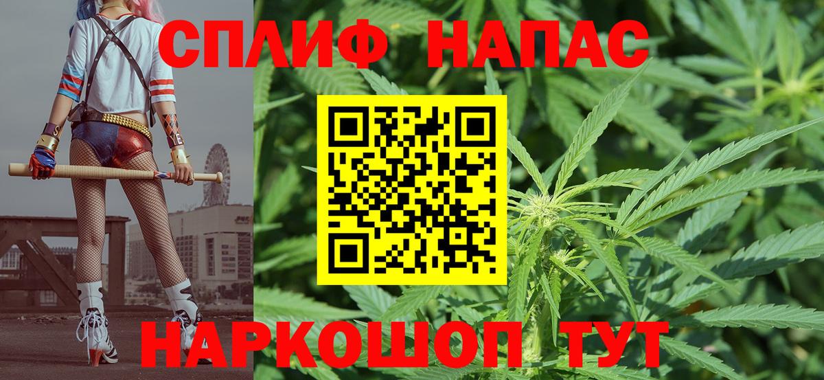 Каннабис планчик Сатка